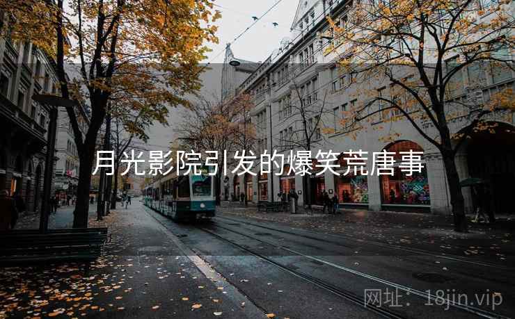 月光影院引发的爆笑荒唐事  第2张