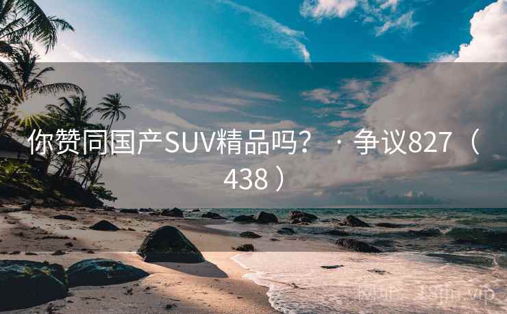 你赞同国产SUV精品吗？ · 争议827（438 ）  第1张