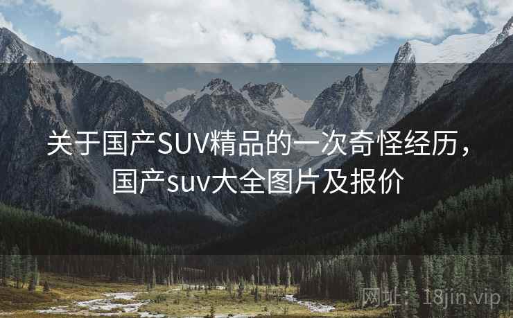 关于国产SUV精品的一次奇怪经历，国产suv大全图片及报价