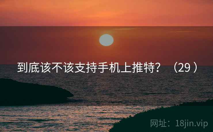 到底该不该支持手机上推特？（29 ）